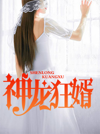 龙婿林凡杨雪