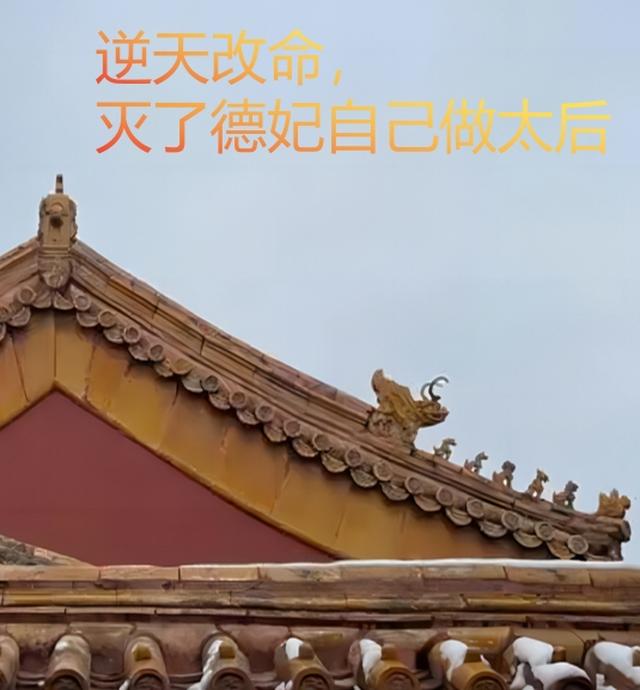 逆天改命,灭了德妃自己做太后